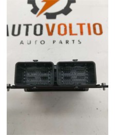 Modulo Electronico