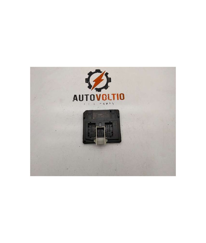 Modulo Electronico