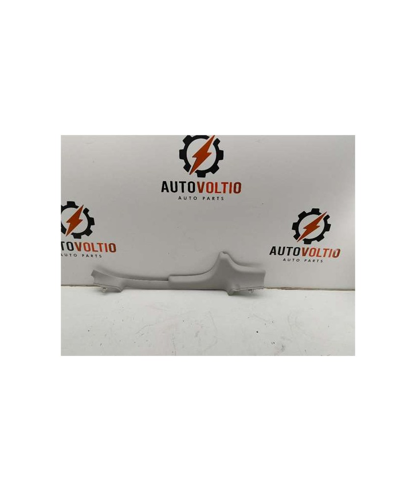 MOLDURA TECHO IZQUIERDA