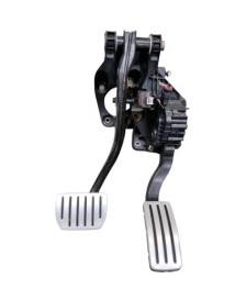 Potenciometro Pedal Gas
