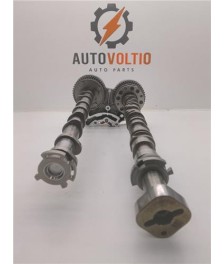 Arbol De Levas