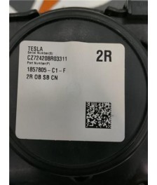 Cinturon Seguridad Trasero Izquierdo