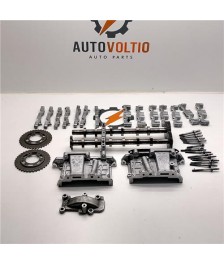 Arbol De Levas