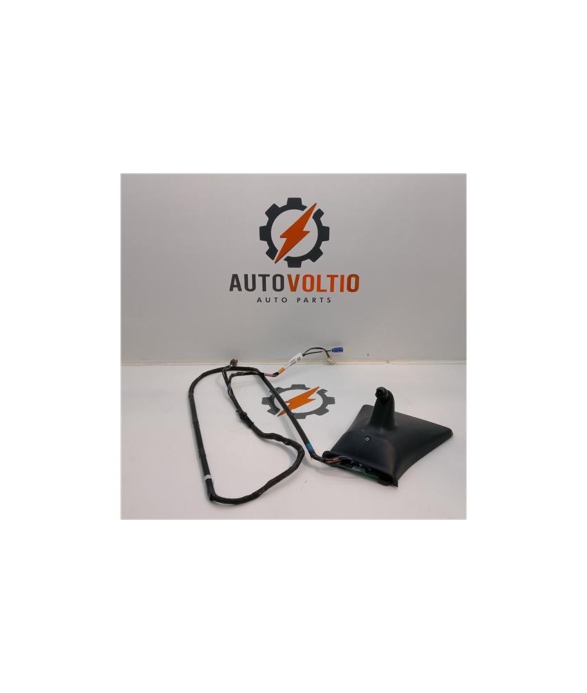 Antena Electrica