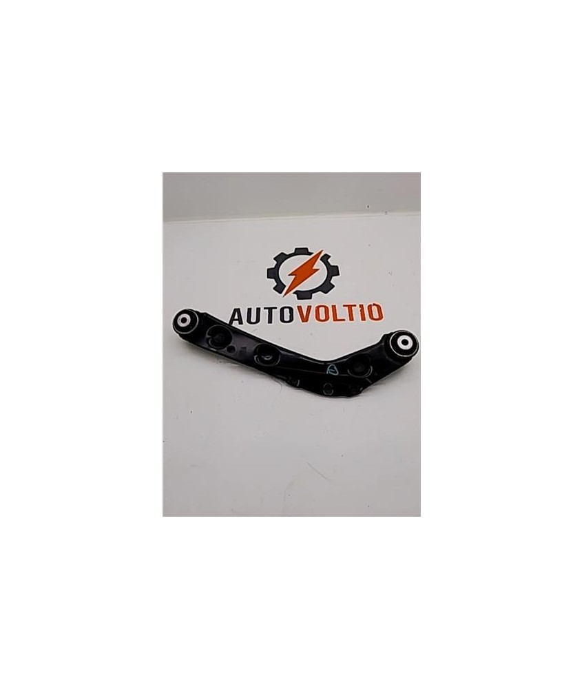 Brazo Superior Trasero Derecho