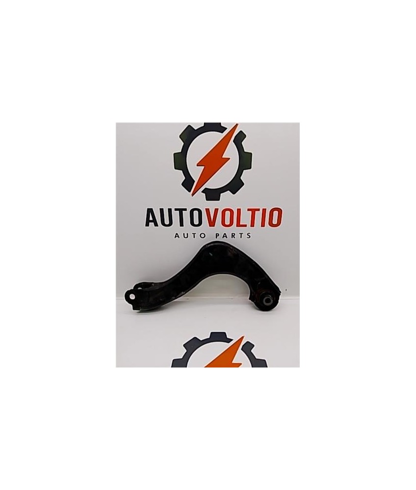 Brazo Superior Trasero Derecho