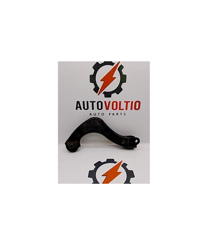 Brazo Superior Trasero Izquierdo