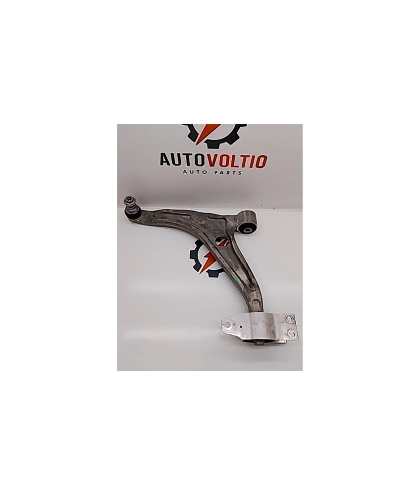 Brazo Inferior Delantero Izquierdo