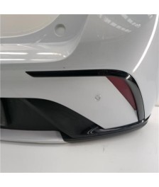 Paragolpes Trasero