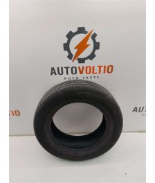 Neumatico