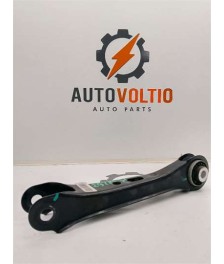 Brazo Superior Trasero Derecho