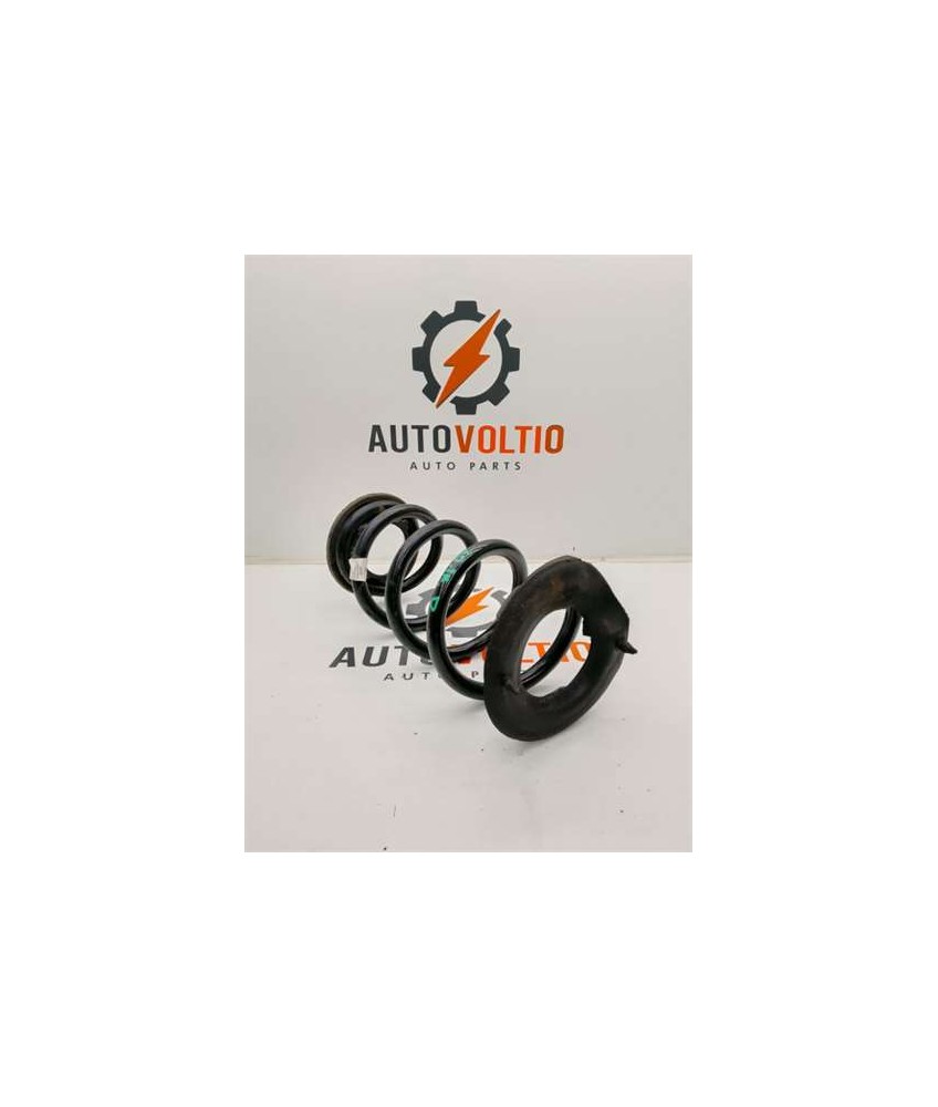 Muelle Amortiguacion