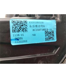 Piloto Trasero Derecho
